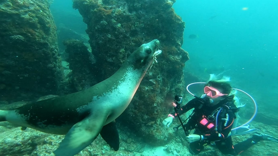 Baja California Sur